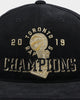 Mitchell & Ness Toronto Raptors Champions Deadstock Snapback Black